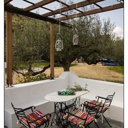 Liodentro House Βίλα Κάρπαθος Εξωτερικό φωτογραφία