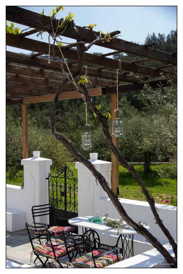 Liodentro House Βίλα Κάρπαθος Εξωτερικό φωτογραφία