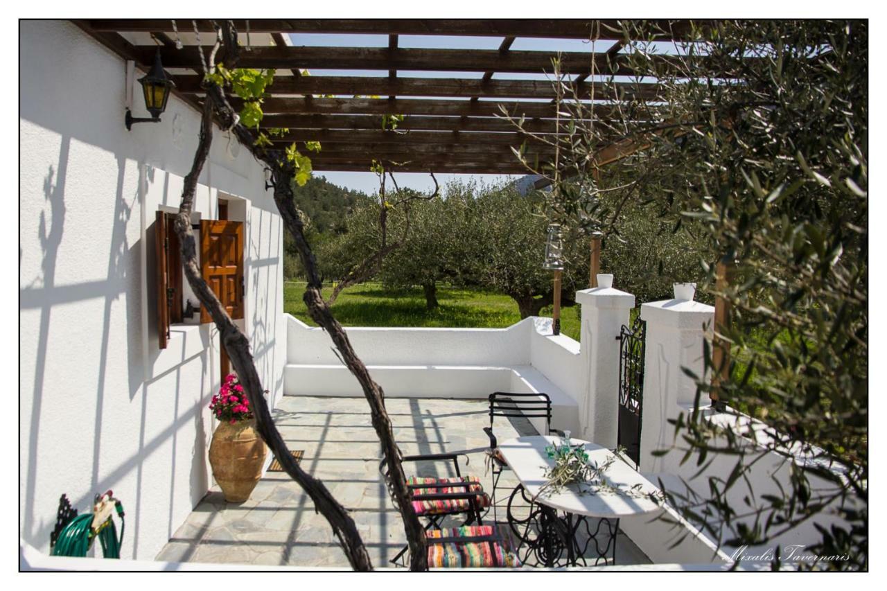 Liodentro House Βίλα Κάρπαθος Εξωτερικό φωτογραφία