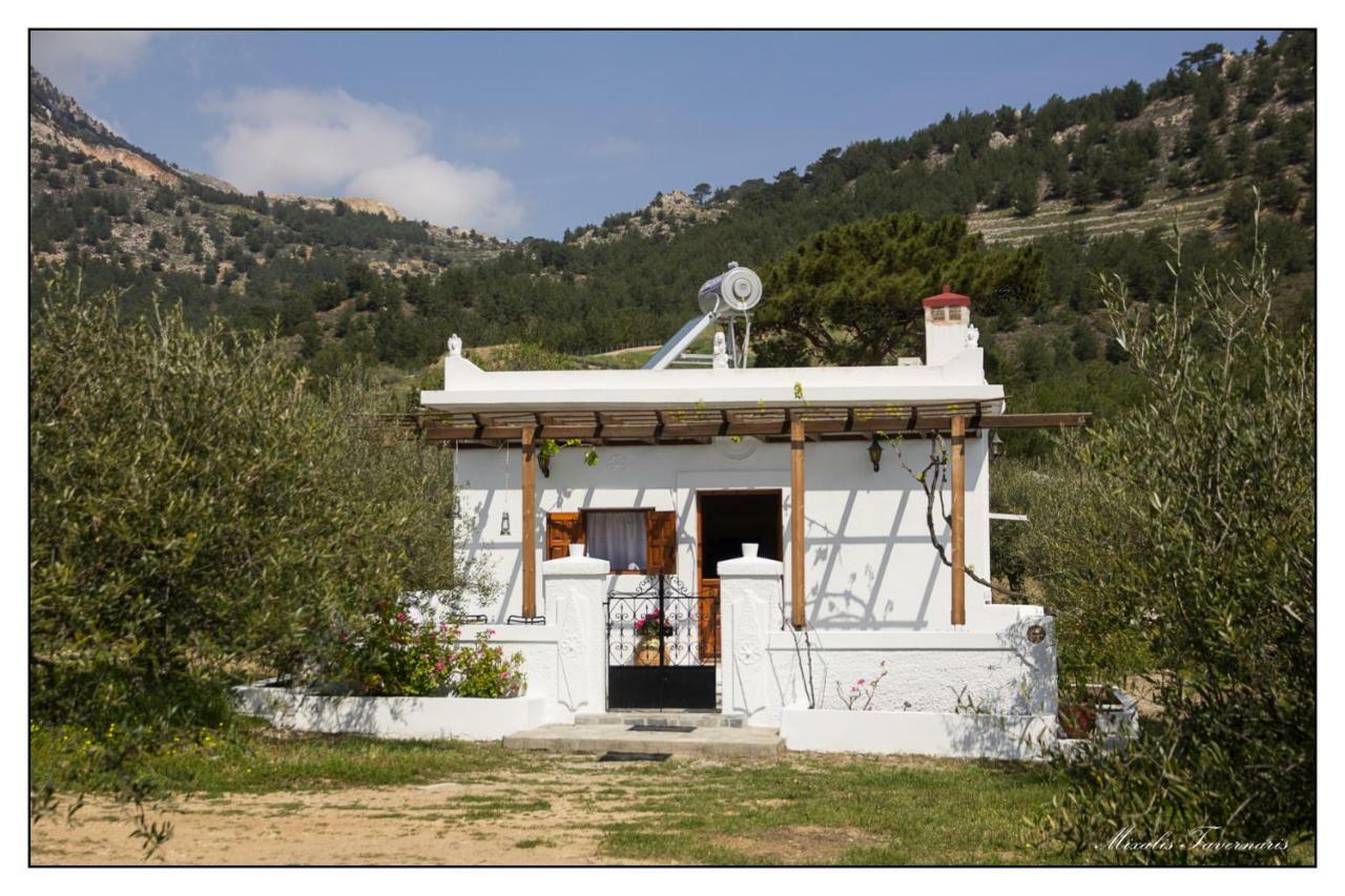 Liodentro House Βίλα Κάρπαθος Εξωτερικό φωτογραφία